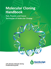 Molecular Cloning Handbook