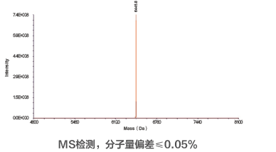 MS检测