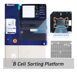 bcell storing platform