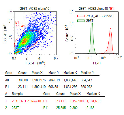 Anti-Flag  antibody to detect ACE2-Flag