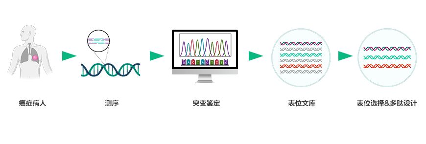 肿瘤研究